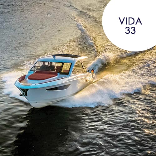 Vida 33